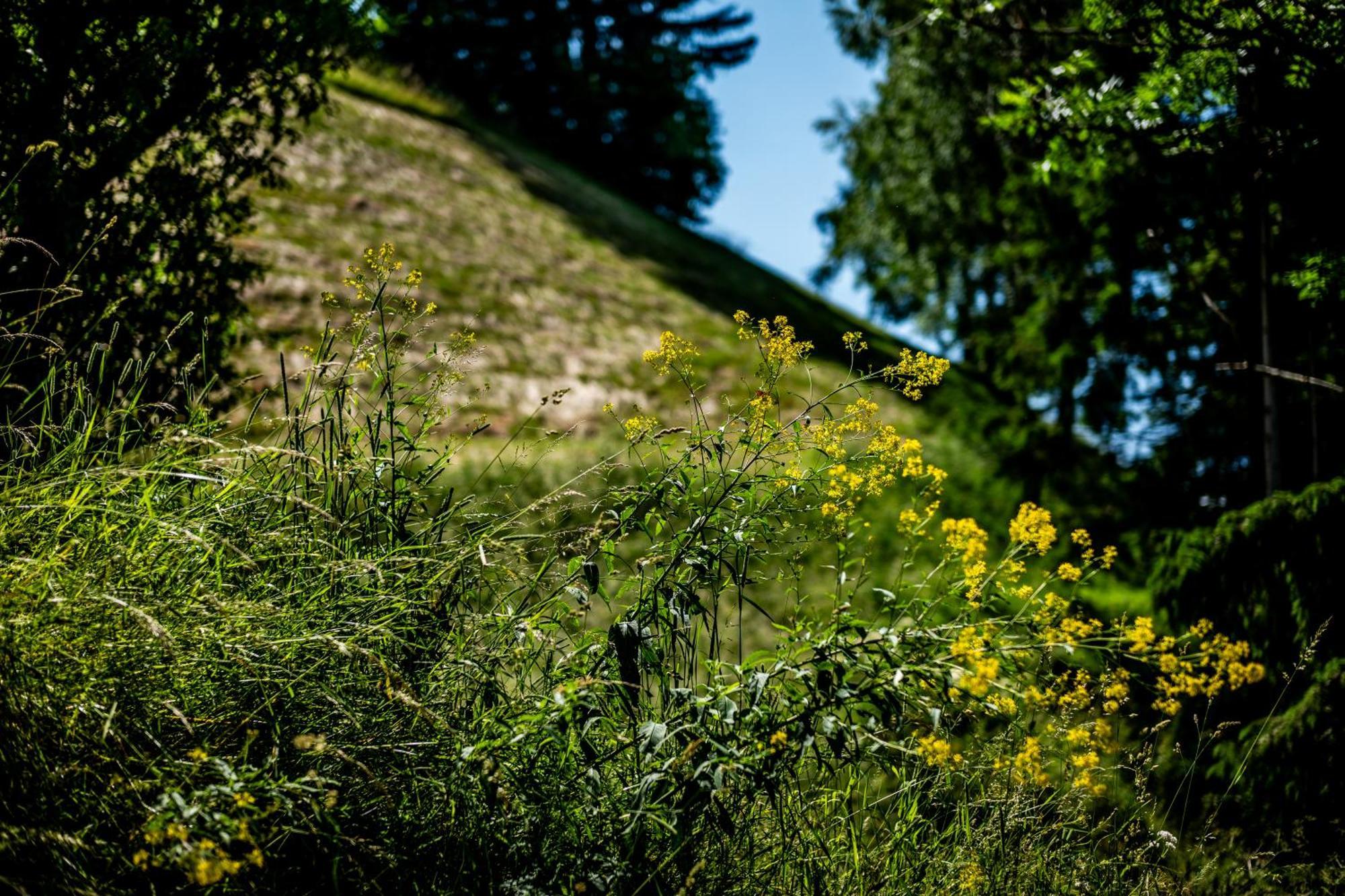 Wuidererhuettn, Charlet In Alleinlage Mit Freistehendem Saunahaus Großkirchheim Exterior foto